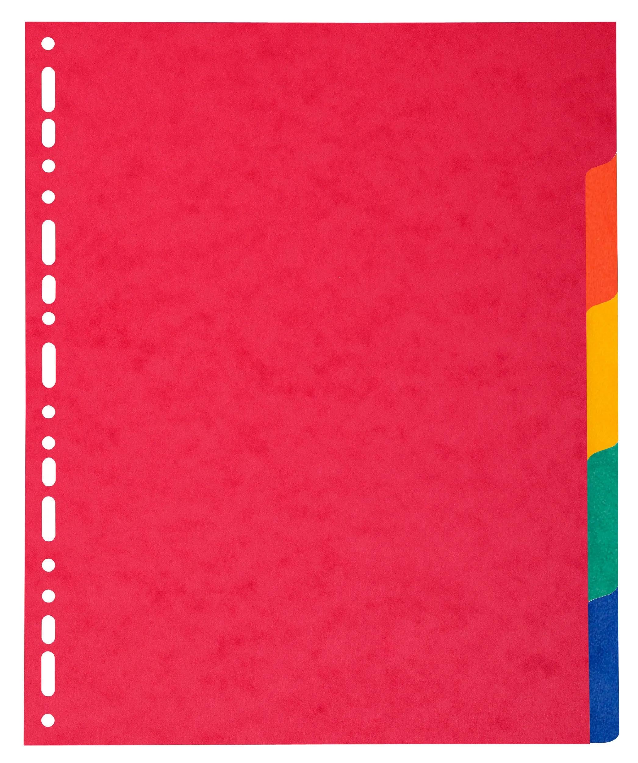 Divisori per scheda, 5 pezzi, formato A4
