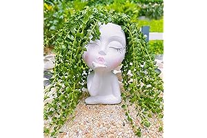 Enchanting Multi-Face Succulent Planters: Transform Your Abode into a Joyful Canvas