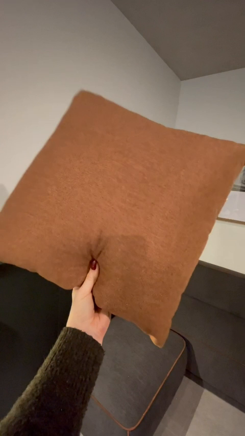 Pillow Comparison Brown and Gray Throw #thisorthat