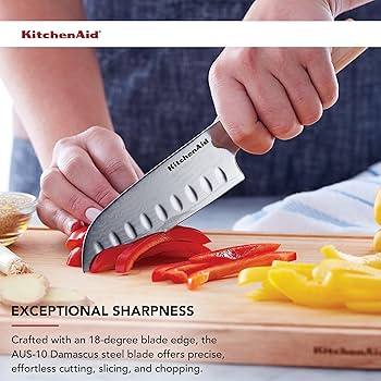 81vjo0UHELL._AC_UF350,