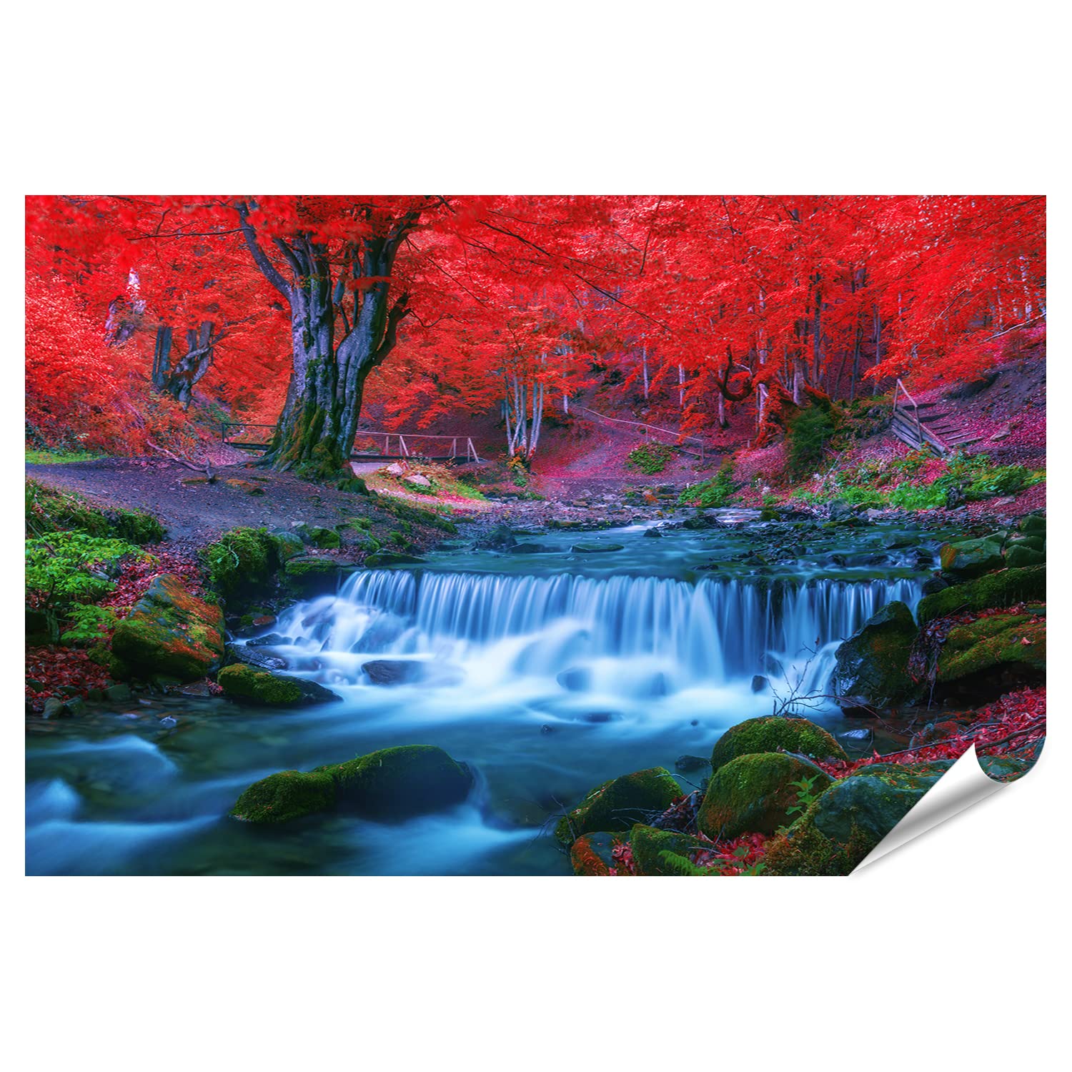 Island Burner Sito Ufficiale Sfondo Desktop Natura Autunnale Sfondi Del  Desktop Raggi Di Luce Island Burner Shop Online, image size:1500x1500