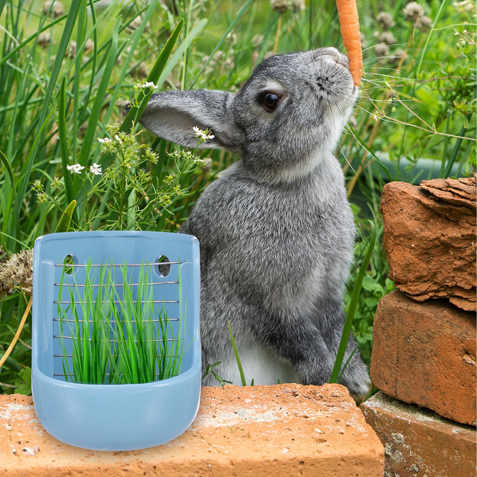 Futterautomat Keramik mit Einfacher Montage als Kleintier Grasfutterspender und Doppeltem Nutzen zum Anbringen Am Käfig für Kaninchen und Chinchillas