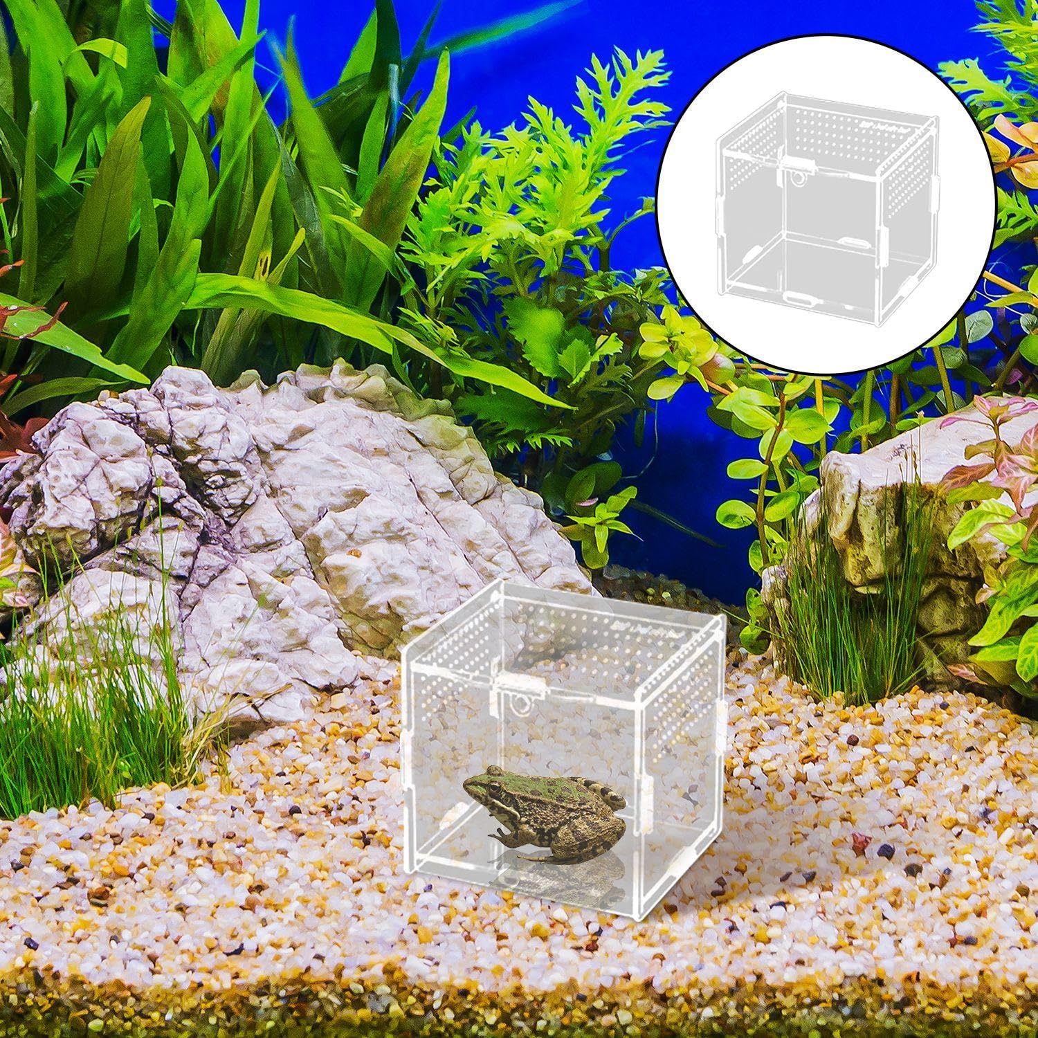 1 Piece Acrylic Feeding Box, Transparent Feeding Box, Crawling Pet Supplies, Suitable For Spiders, Lizards, Snails. — view 4