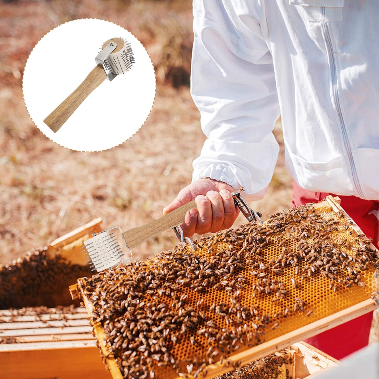 Rullo Decappatore Per Apicoltura - Strumento Per Estrarre Miele Dai Telari