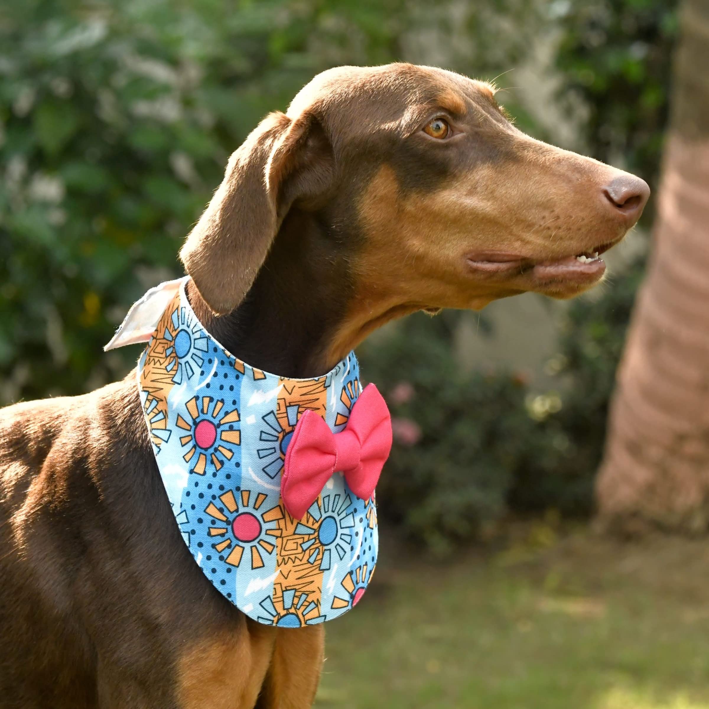 GROOMSOME Blue Dog U-Bandana/Scarf (Size: Small) (B09L58LBVR) Amazon Price History, Amazon Price Tracker