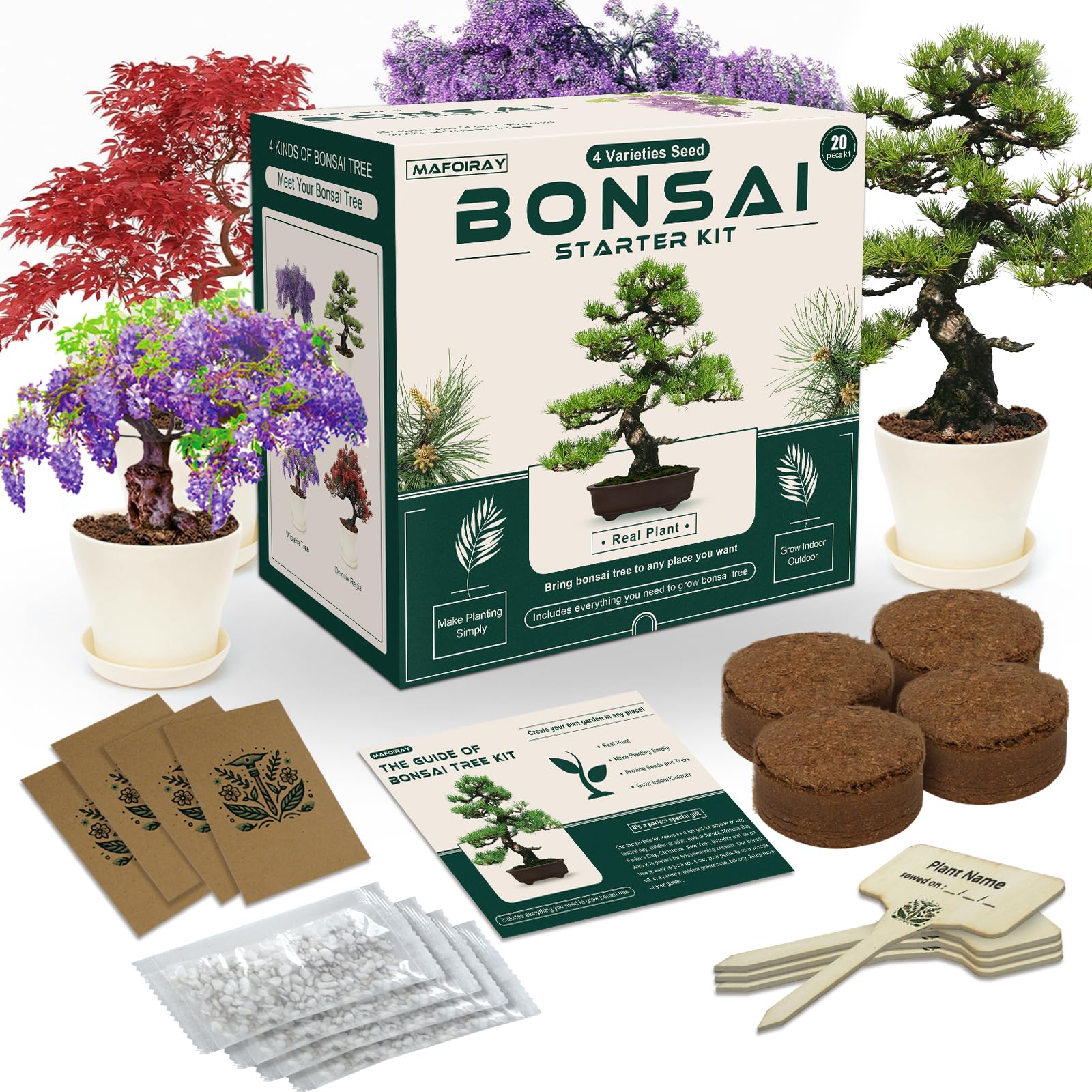Bonsai Tree Kits - Starter with Tools, 4 Kinds of Tree Seeds, Soil, Pots, Trays, Grow Bonsai Tree in Live Indoor, Plant Kits Gifts for Men and Women