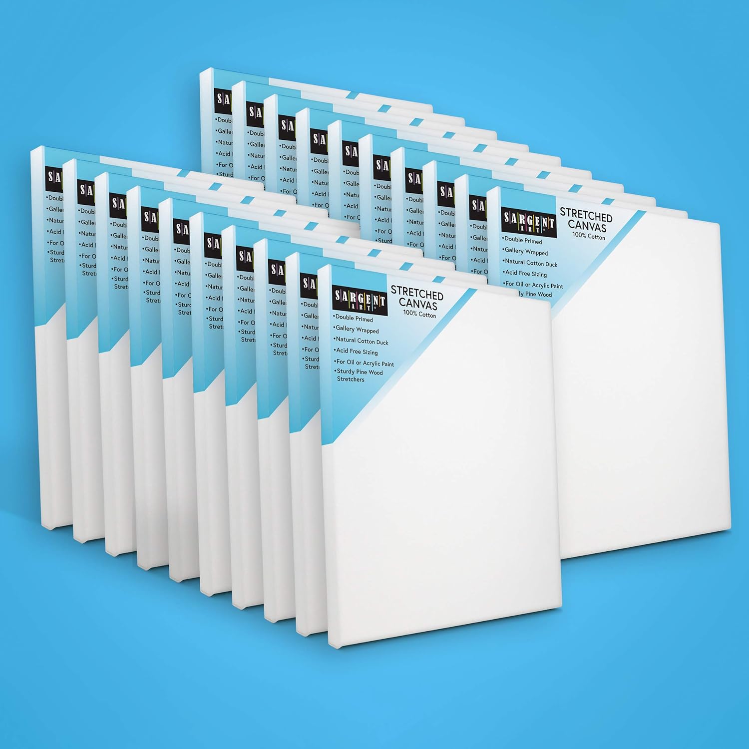 Sargent Art 8x10 Stretched Canvas, Bulk Pack of 20, Blank