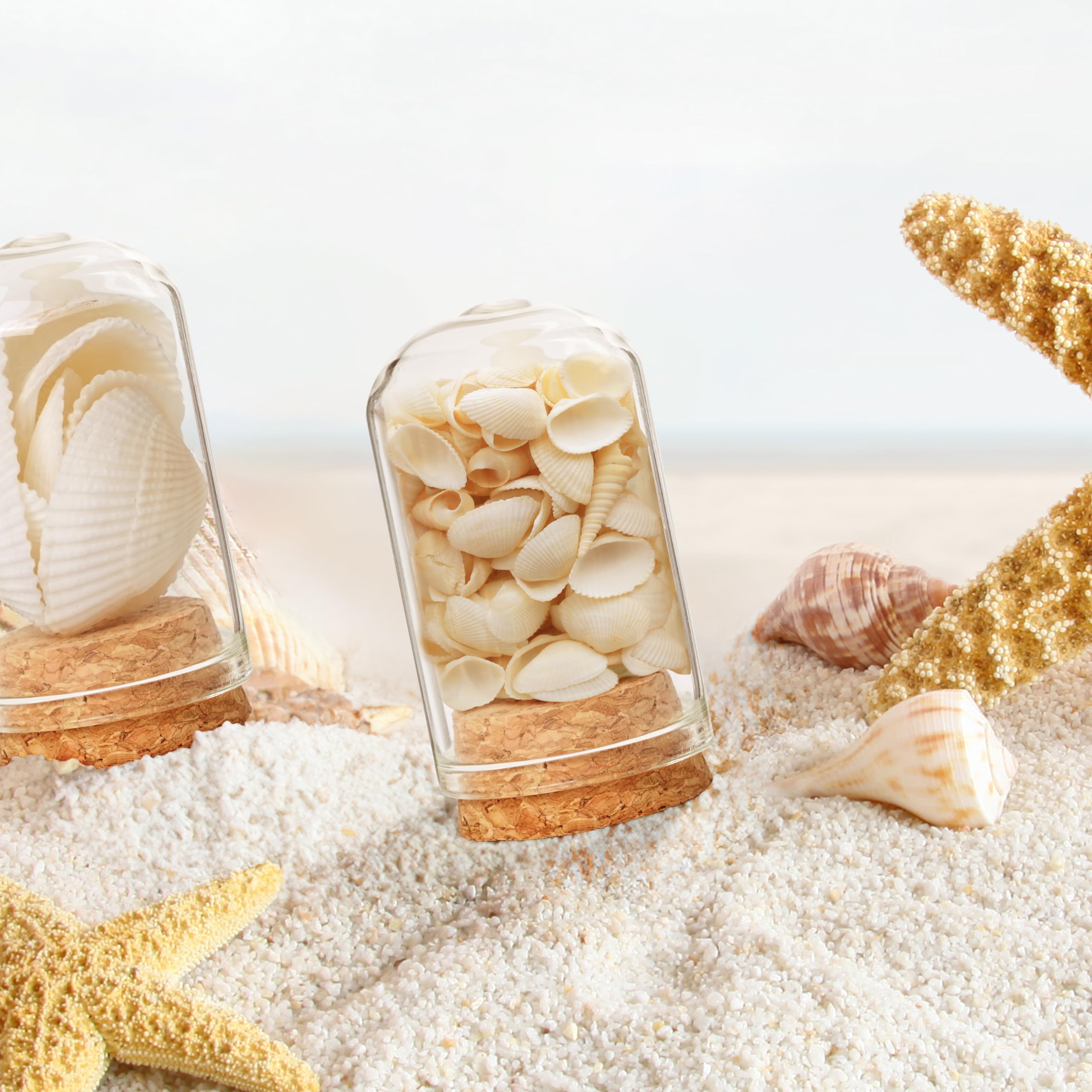 Winter Shore Mini Cloche En Verre Decorative 9 Ml [Lot De 20] - Cloche Dome Vide Pour Plantes, Cadeaux, Fleurs, Figurines, Petites Décos - Minis Bouteilles Avec Bouchon En Liège