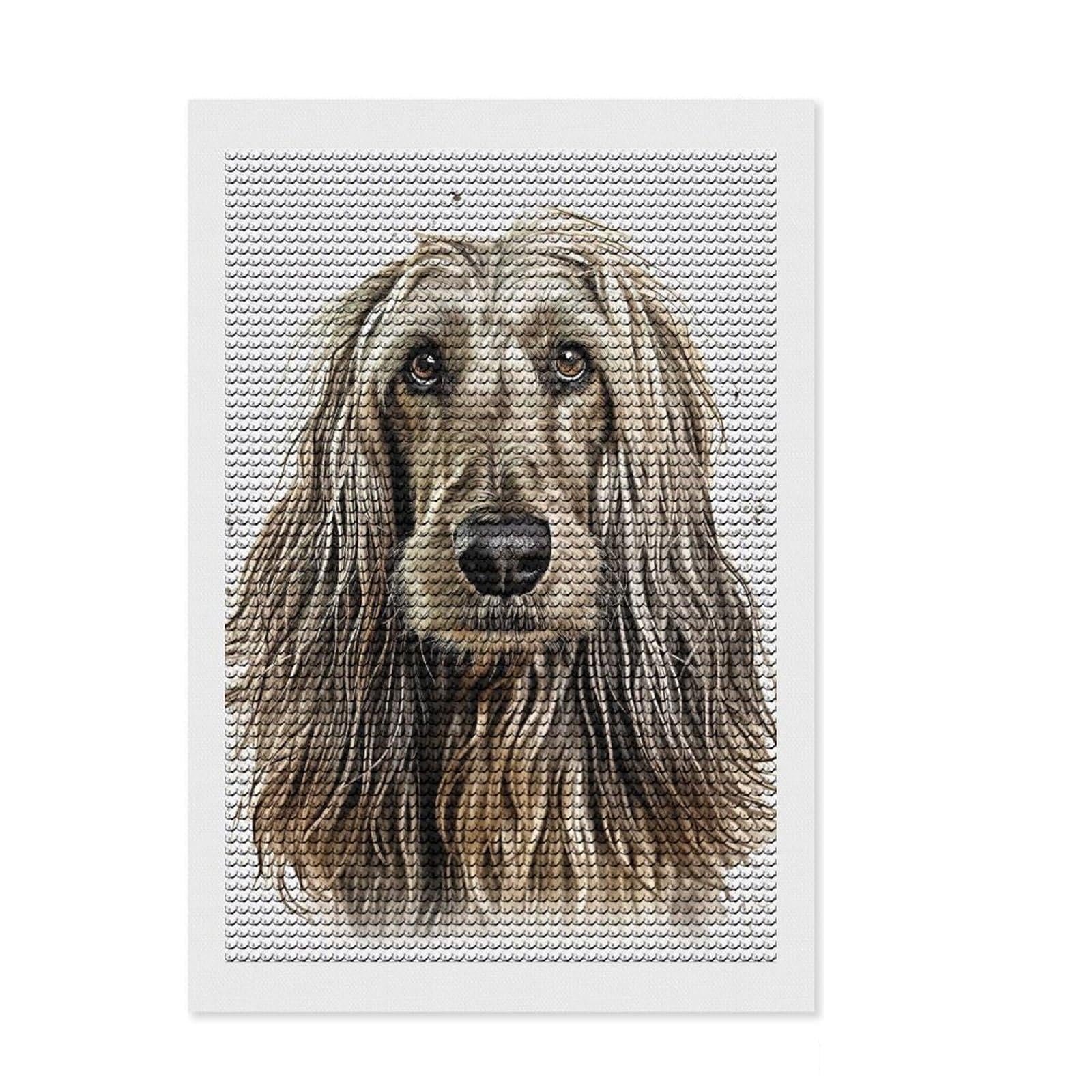 Junmoney Afghan Hound Portrait Diamond Art Canvas 8"x12", Birthday Gift, for Teens, Relaxing DIY Hobby, Office Decor, Mindful Craft Activity