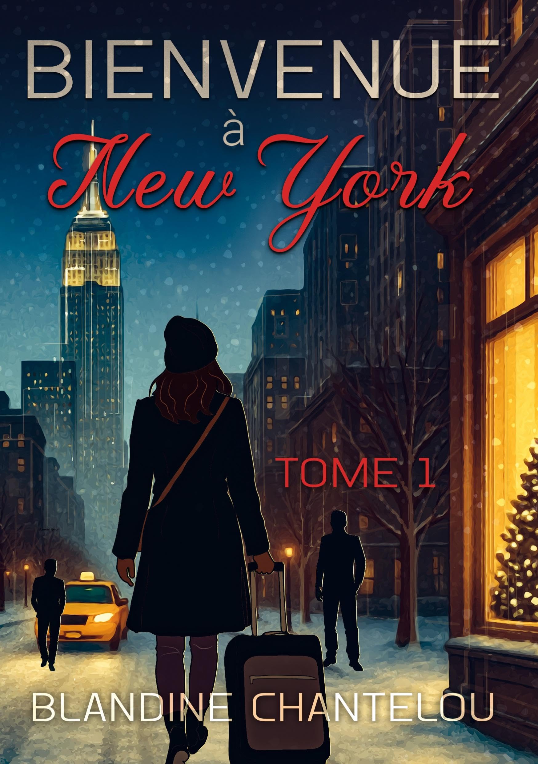 Bienvenue à New-York: Tome 1