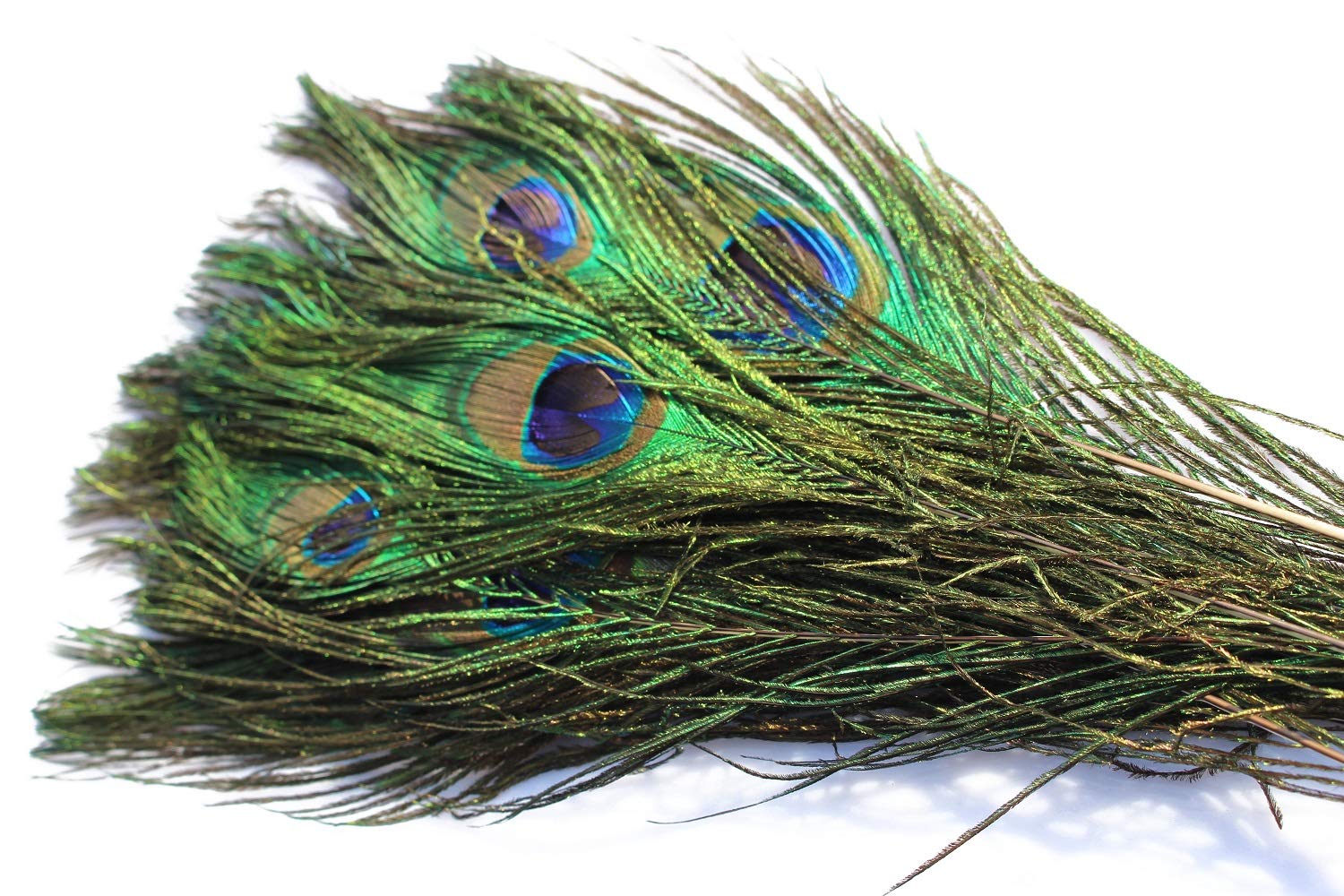 Tigofly 6 pcs/lot Natural Color Peacock Feathers Tail Herls Quills for Nymphs Wet Streamers Flies DIY Fly Fishing Tying Materials