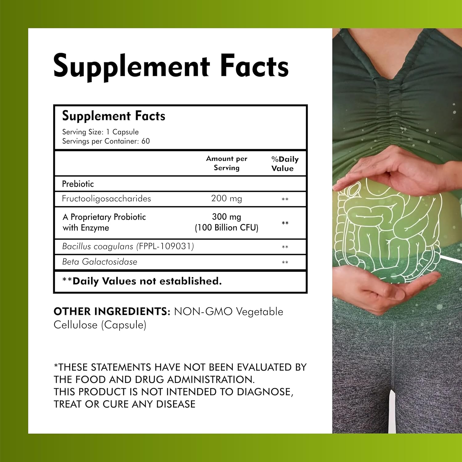 Bacillus Coagulans 100 Billion - Natural Probiotic Supplement Supporting Digestive Health,Diarrhea,Gas & Bloating GI & Overall Gut Health for Men & Women (60 Veg Capsules) - Image 3