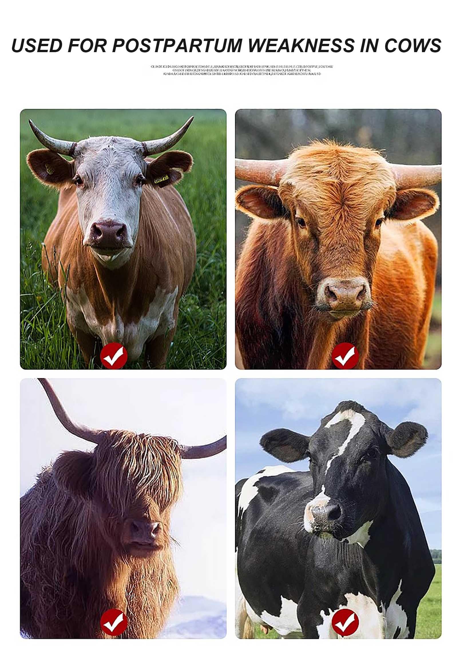 Dispositivo di sollevamento per bovini, Forniture per la movimentazione del bestiame ad alta resistenza, Sollevatore per fianchi di mucche, Forniture per bovini da stalla, Rastrelliera per il sollev