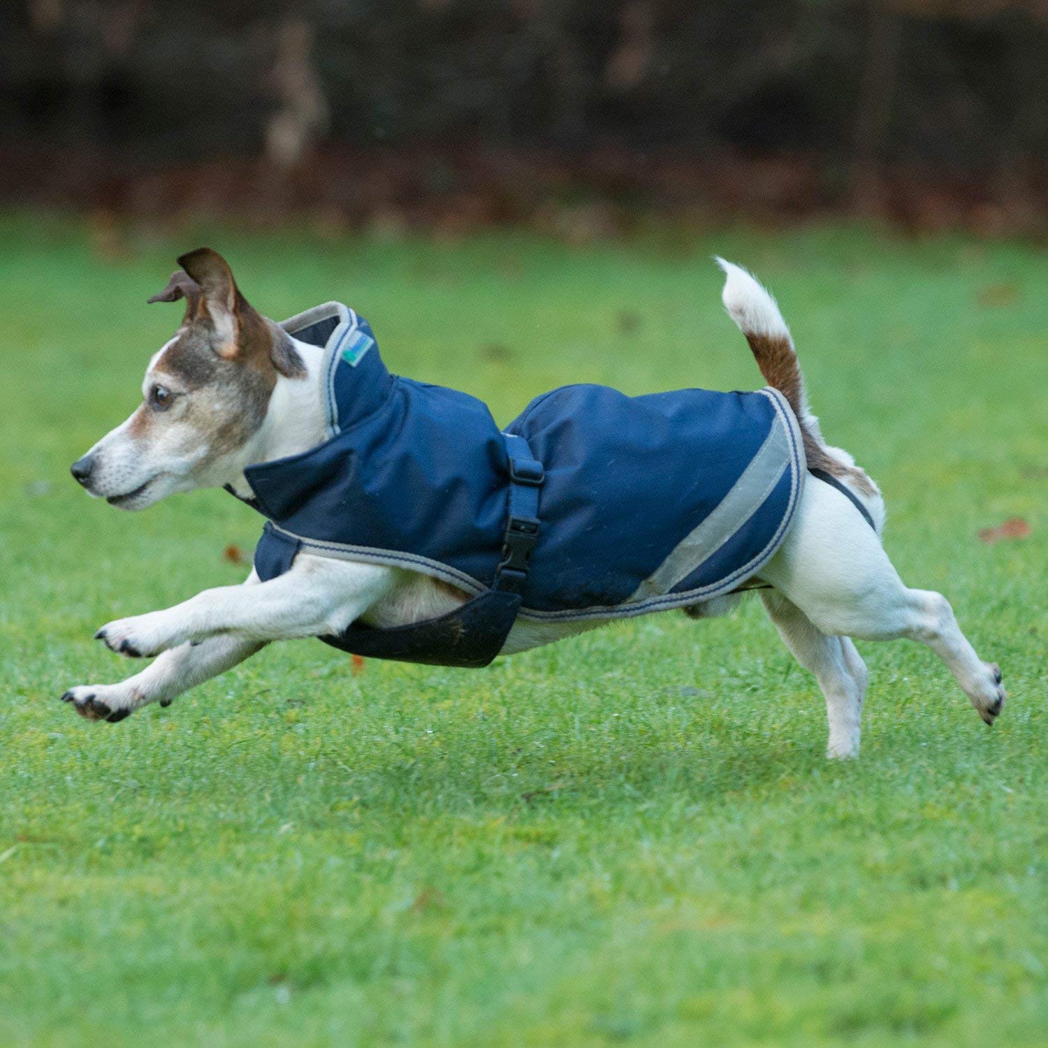 Bucas Freedom Dog Blanket płaszcz dla psa 300 g (Navy, 30)