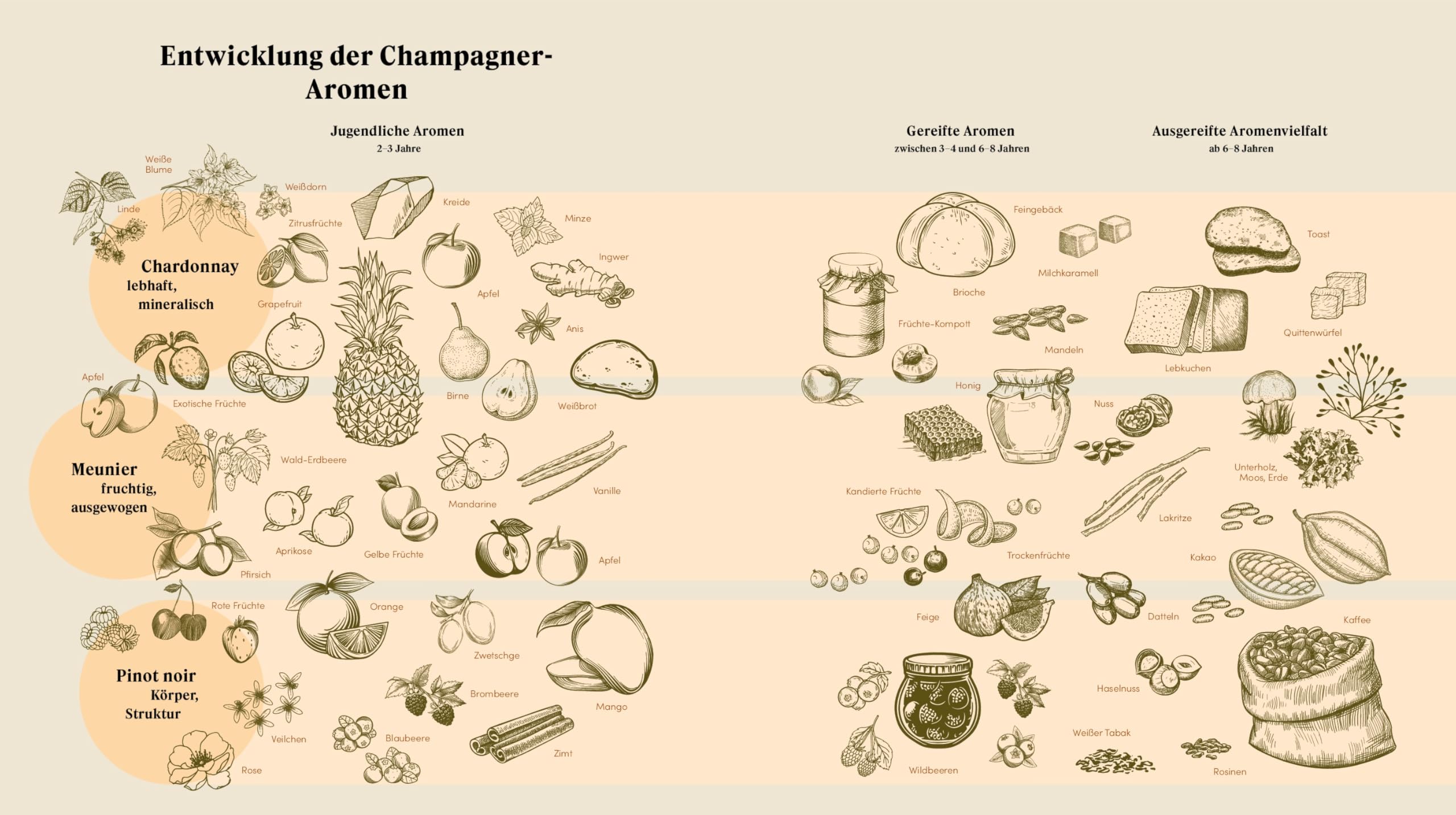 Champagner - Das Buch: Reise durch die Welt der Bubbles - Experte Peter Jauch enthüllt Trends, Herstellung und Kultur des Luxusgetränks - 200+ Produktvergleiche für Kenner und Genießer