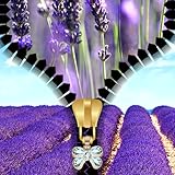 Stellen Sie den Vordergrund und den Hintergrund, so dass es Ihrem Geschmack entspricht -