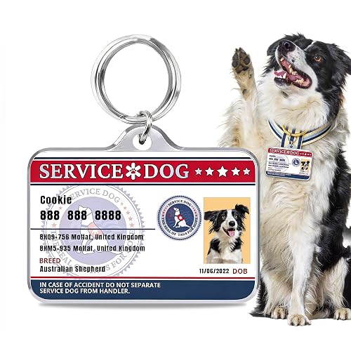 Mocessory Placa de identificación personalizada