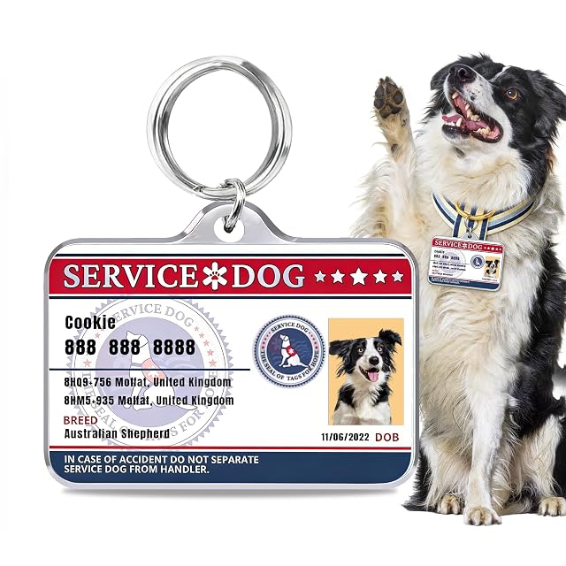 Mocessory Placa de identificación personalizada