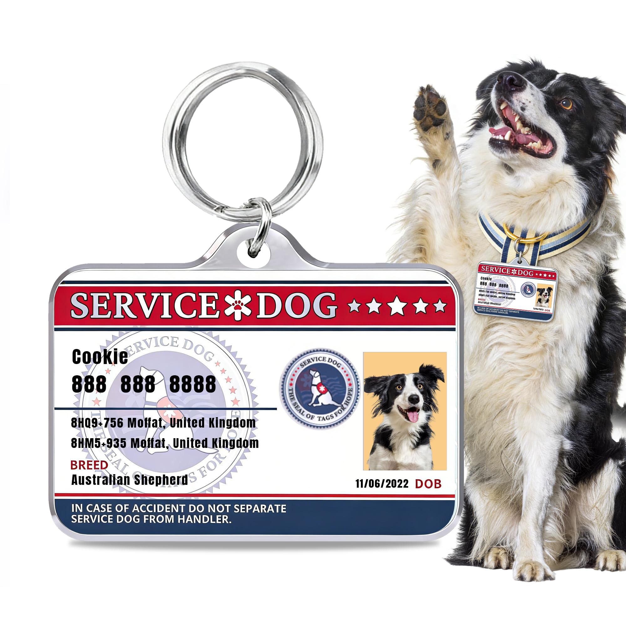 Stainless Steel Personalized Dog & Cat ID Tags - Fun Styles for Sporty Outdoor Pets - Custom Printed Name & Info for Collar Accessories-Service Dog A