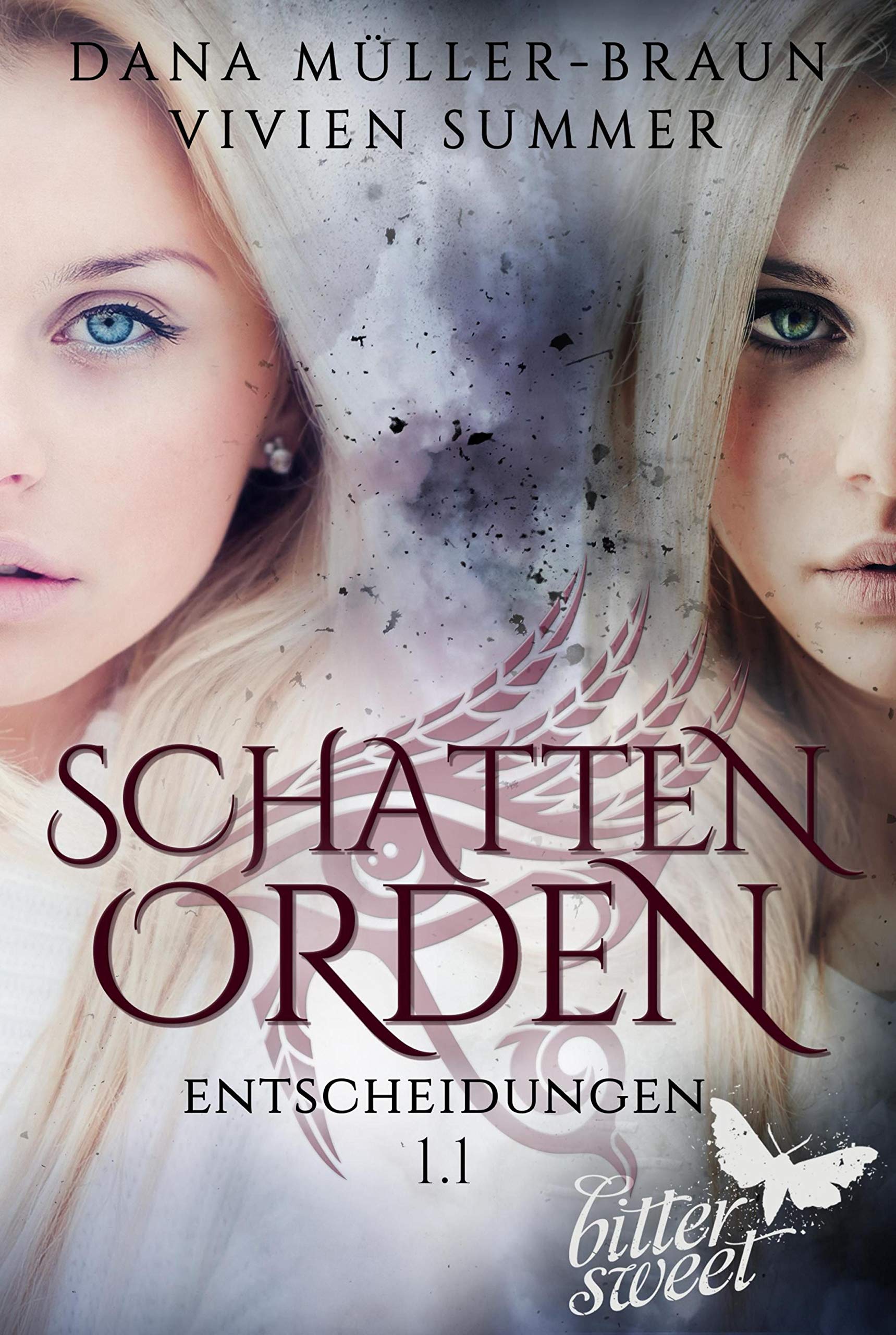 SCHATTENORDEN 1.1: Entscheidungen (German Edition)