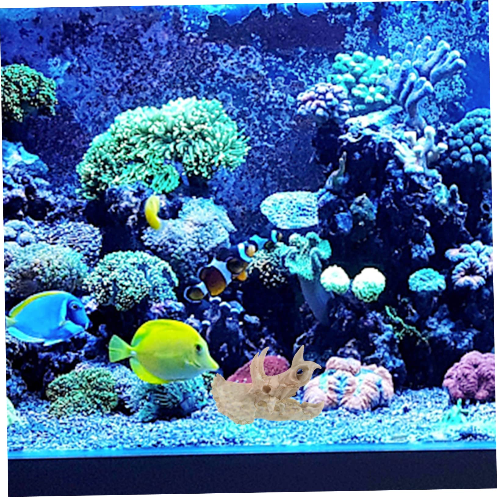 POPETPOP 3 Piezas Decoración De Pecera Decoración De Calavera De Casa del Reptil del Cráneo Escondite De Camarones De Pescado Decoración del Terrario del Cráneo Resina