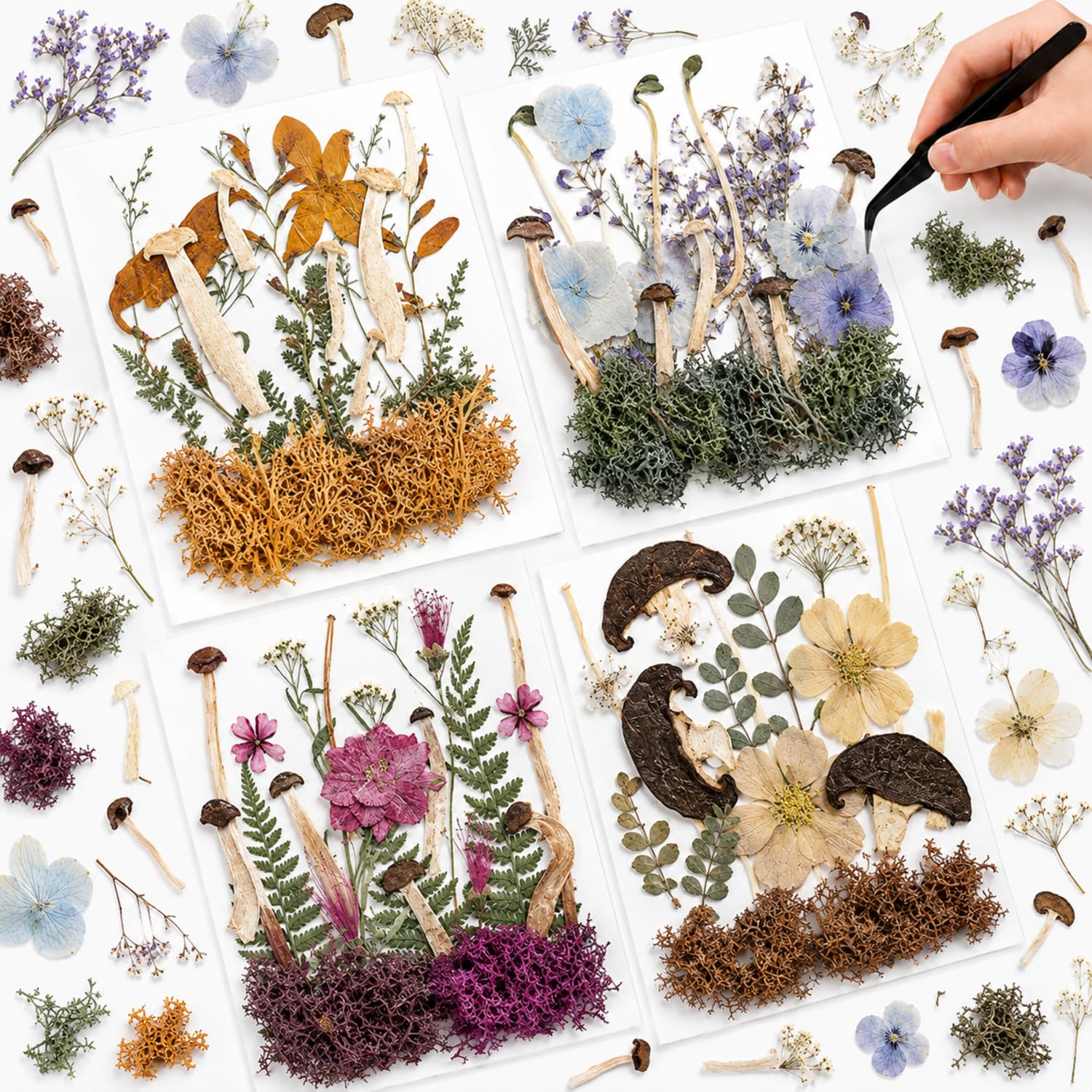 Nuanchu Dried Flowers Pressed Mushrooms for Resin Molds Crafts DIY Supplies