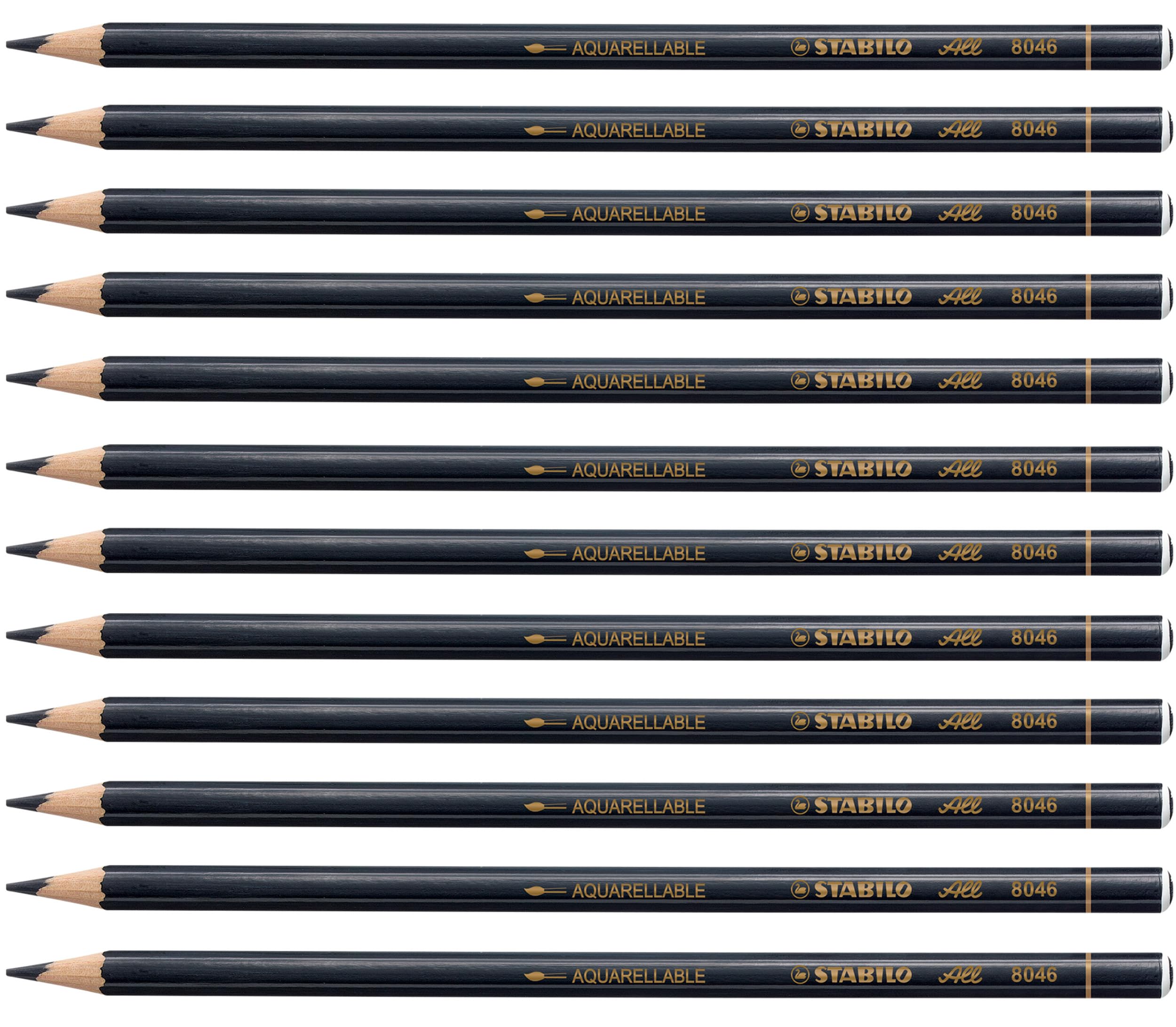 STABILO8406 All Coloured Pencil Crayons for Almost All Surfaces, 3.3 mm, Black, Pack of 12
