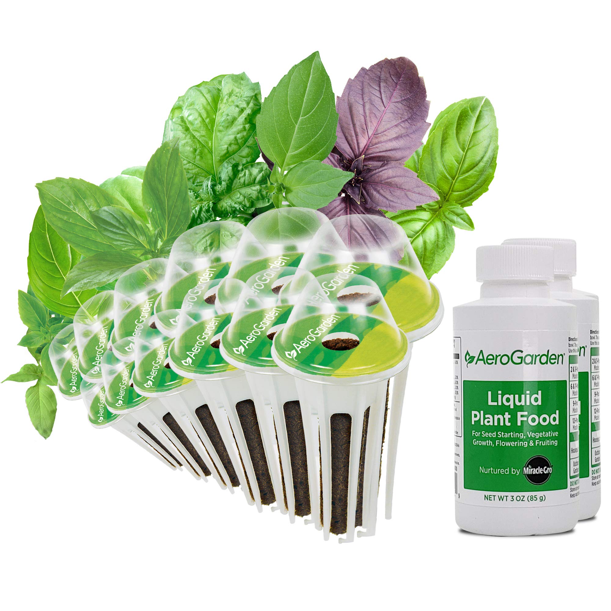 AeroGarden International Basil Seed Pod Kit (12-pod)