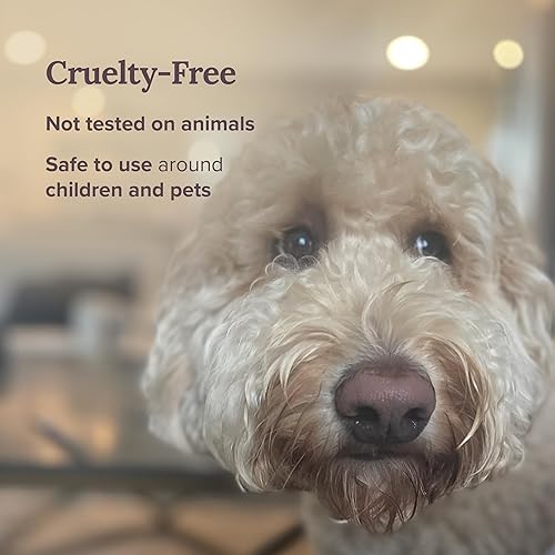 Miniatura 5 de MAGNIFICENT 101 Vela de aromaterapia de limpieza energética de salvia blanca pura, tarro de vidrio de 14.5 onzas con tapa, cera de soja natural y