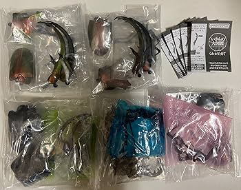 Amazon.co.jp: くわがた07 全5種セット いきもの大図鑑 : おもちゃ