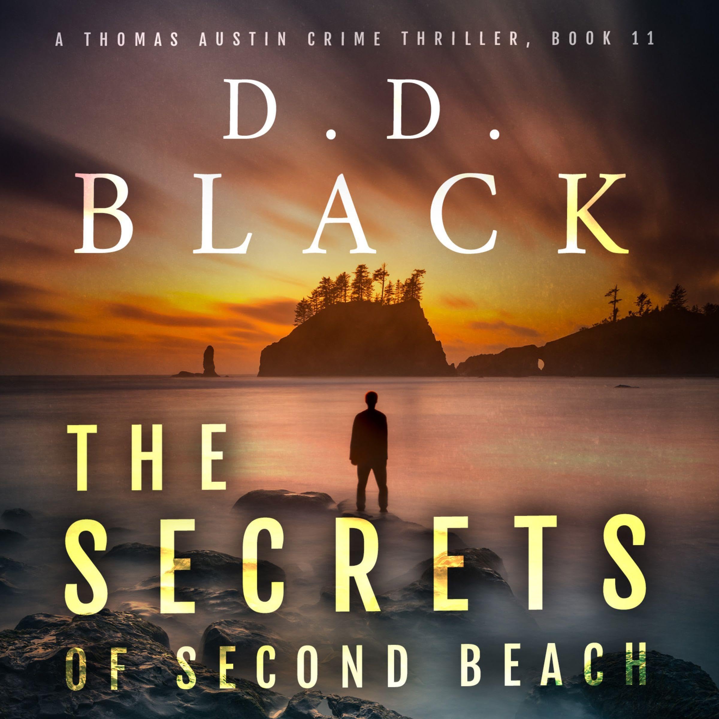 Cover art for The Secrets of Second Beach
