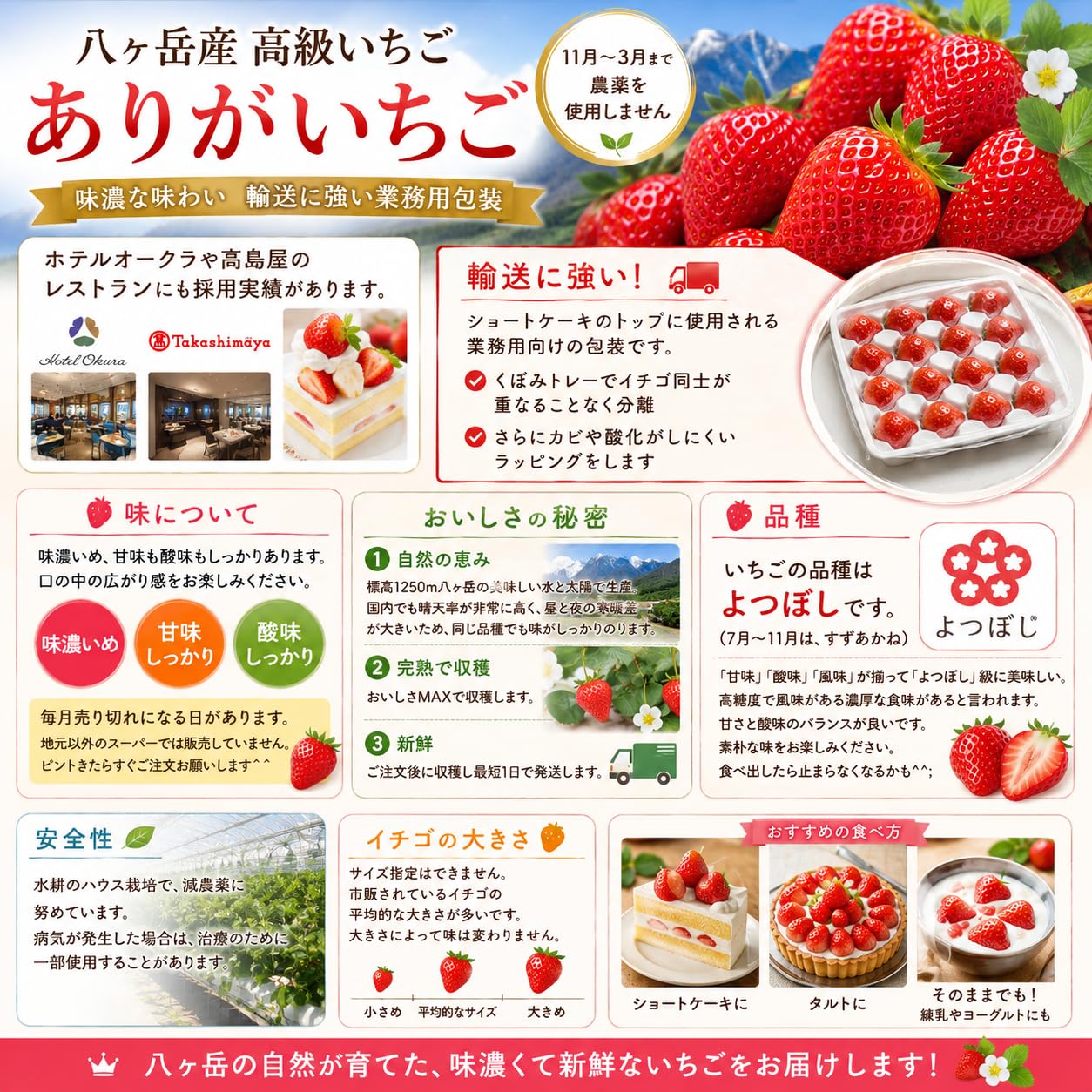 Amazon.co.jp: 八ヶ岳産 高級完熟 ありがいちご 約700g 濃厚な味わい
