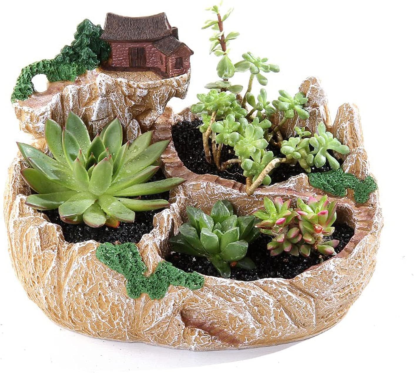 Plant Pots Succulent Flower Pot Resin Cute Mini Small Bonsai Plant Pot