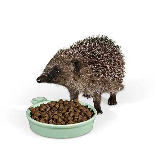 Jacobi Jayne® - Cuenco de cerámica para Comida de Erizo, Duradero, Resistente a la Intemperie, Especialmente…