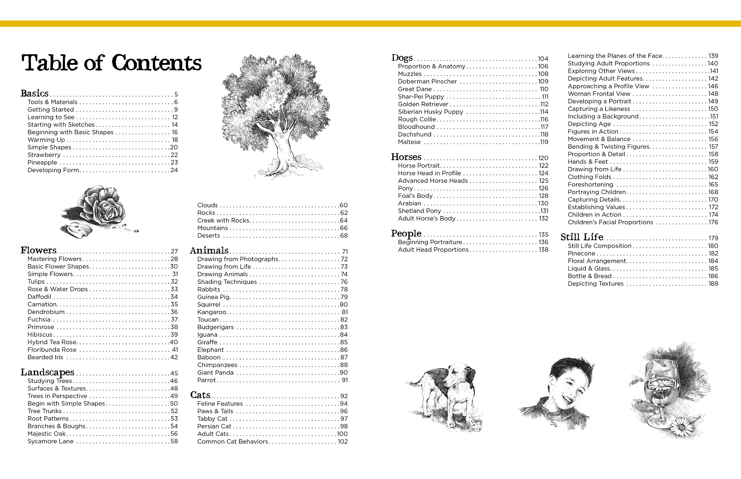 Big School of Drawing: Well-Explained, Practice-Oriented Drawing Instruction for the Beginning Artist: 1