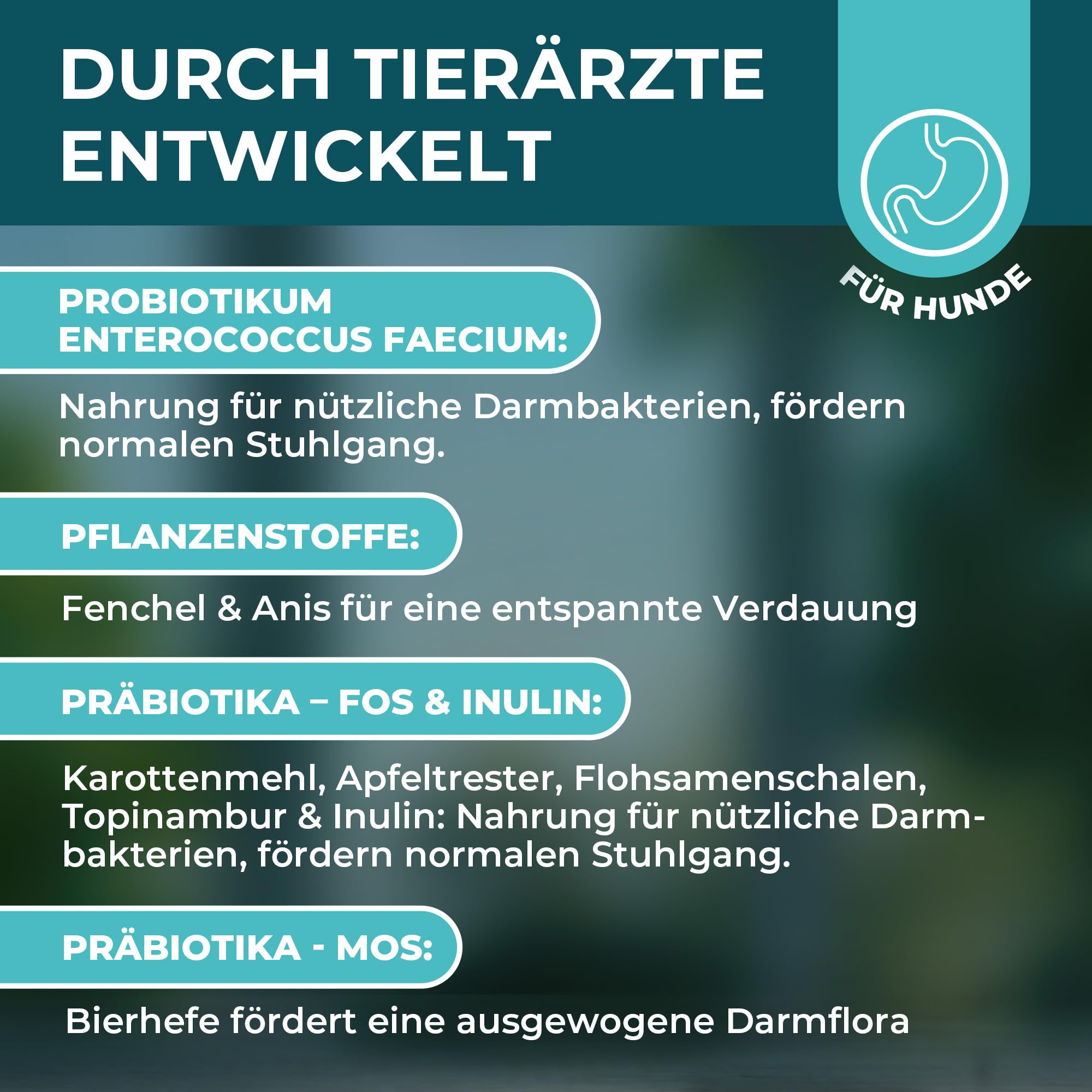 Magen-Darm Pulver für Hunde, 250g - Präbiotika & Probitika Hund zur Darmsanierung - Unterstützt bei Durchfall, Verdauung und dem Darmflora Aufbau - praktisch als Futtertopping - mit Flohsamenschalen