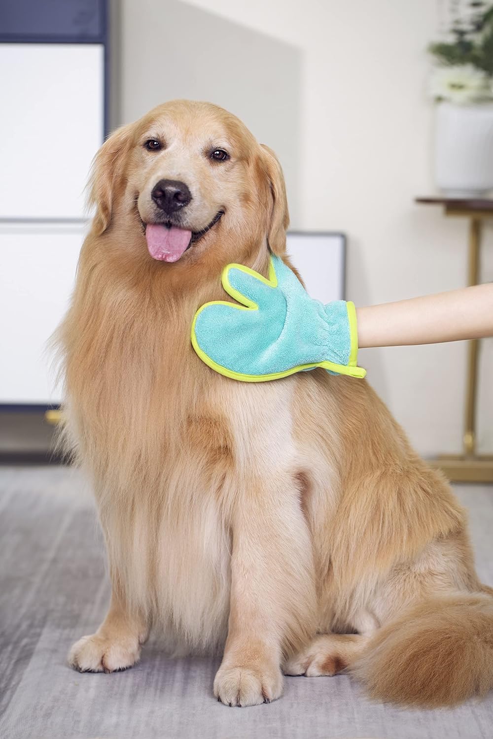 Super-Soft Fast-Drying Dog Towel Set