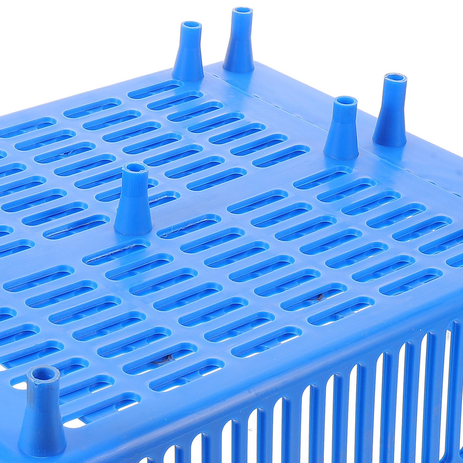 Cestino per Sgocciolamento Frutti di Mare in Plastica Blu