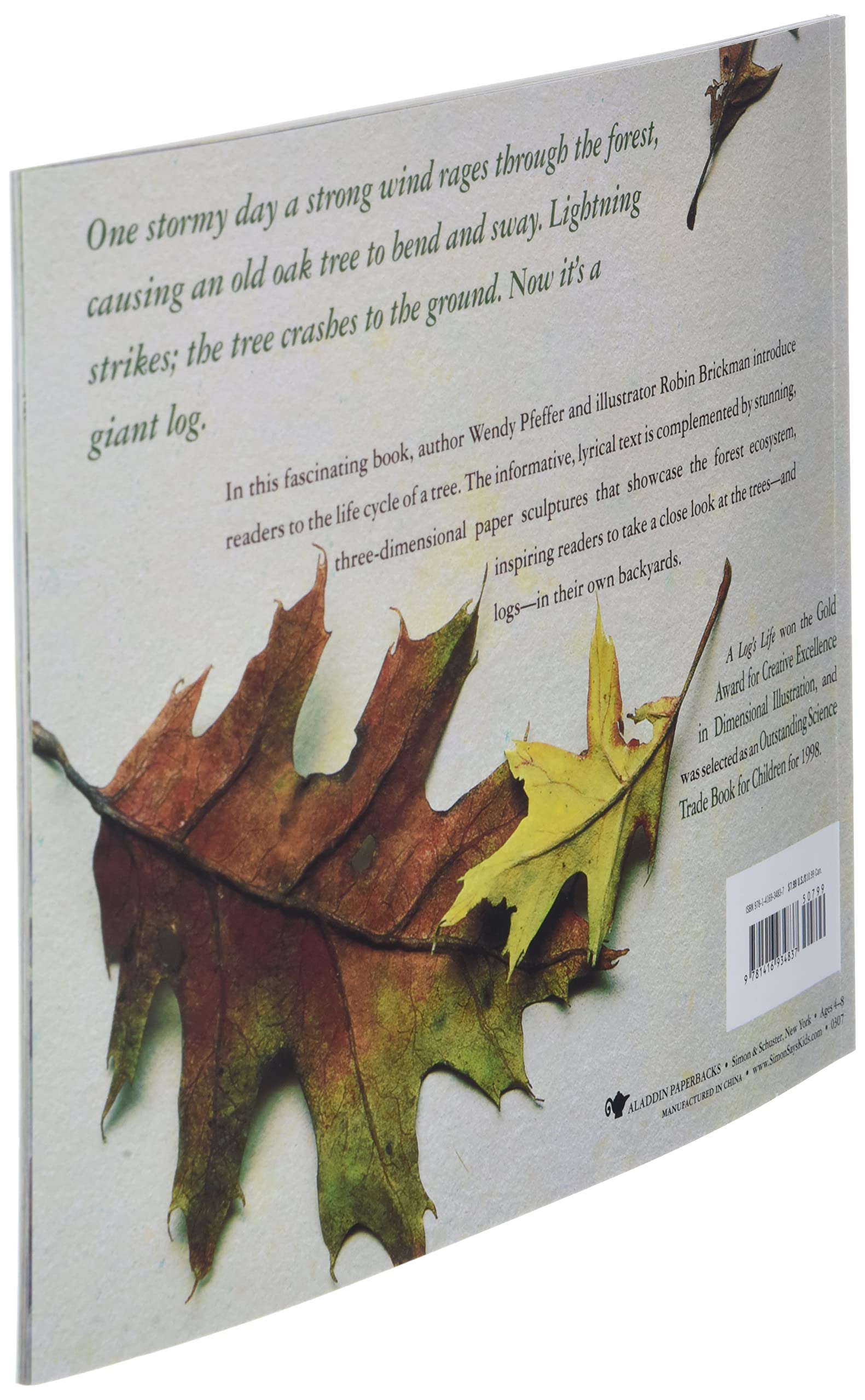 A Log's Life - Image 4