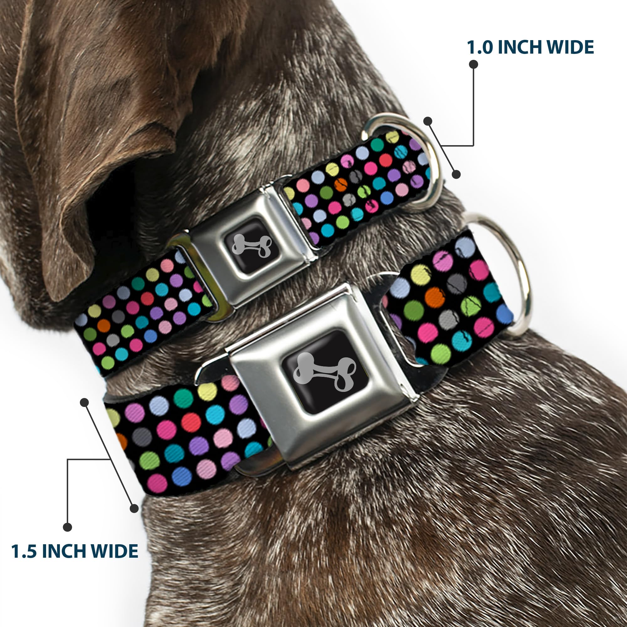 Buckle-Down Obroża dla psa z klamrą pasa bezpieczeństwa - mini kropki czarna/wielokolorowa - szerokość 3,8 cm - pasuje na szyję 33-45 cm - mała
