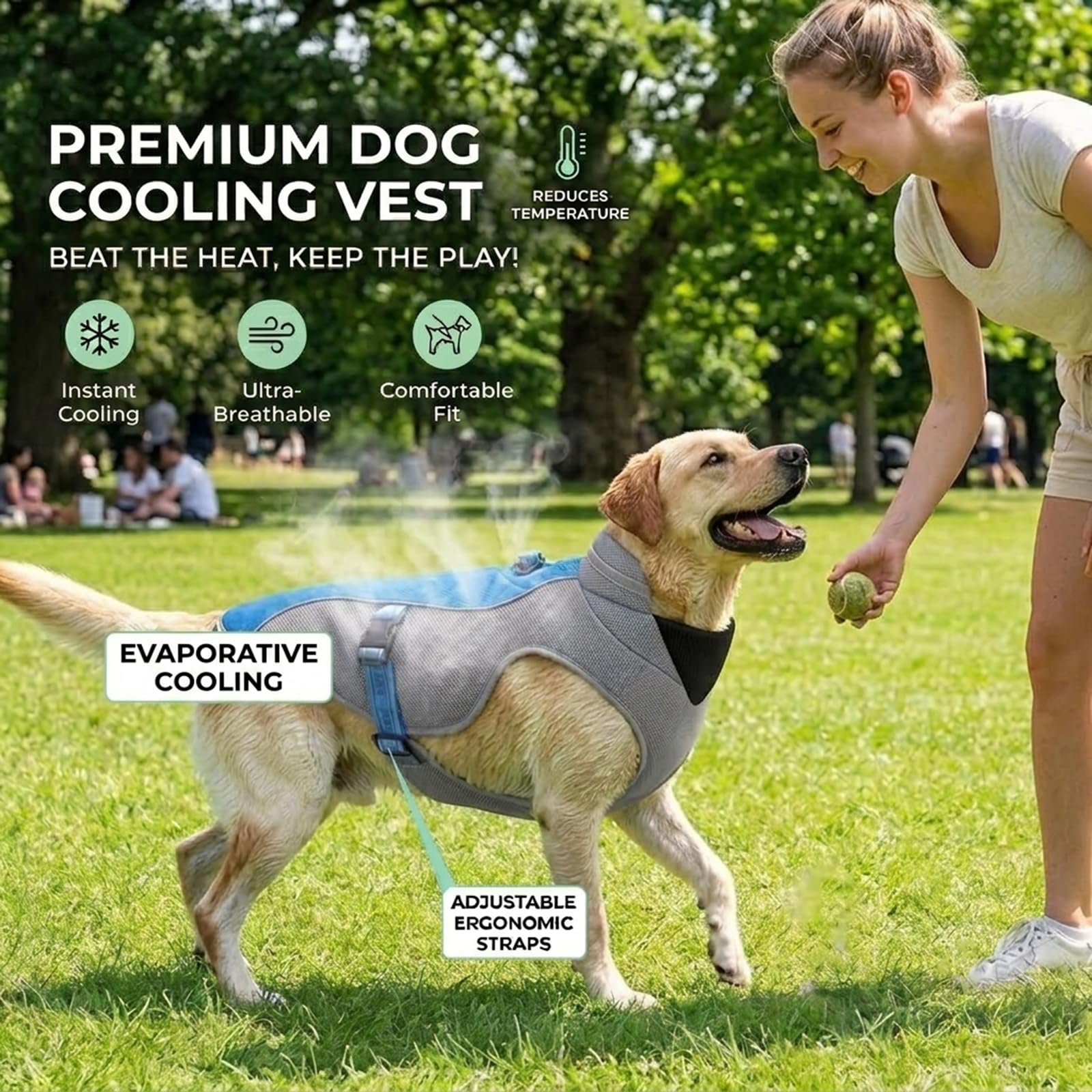 Verbesserte Hundekühlweste mit reflektierenden Streifen - Sonnenschutzjacke für kleine, mittlere und große Hunde, atmungsaktives Netzgeschirr für Laufen, Sommersport und Reisen, Blau S
