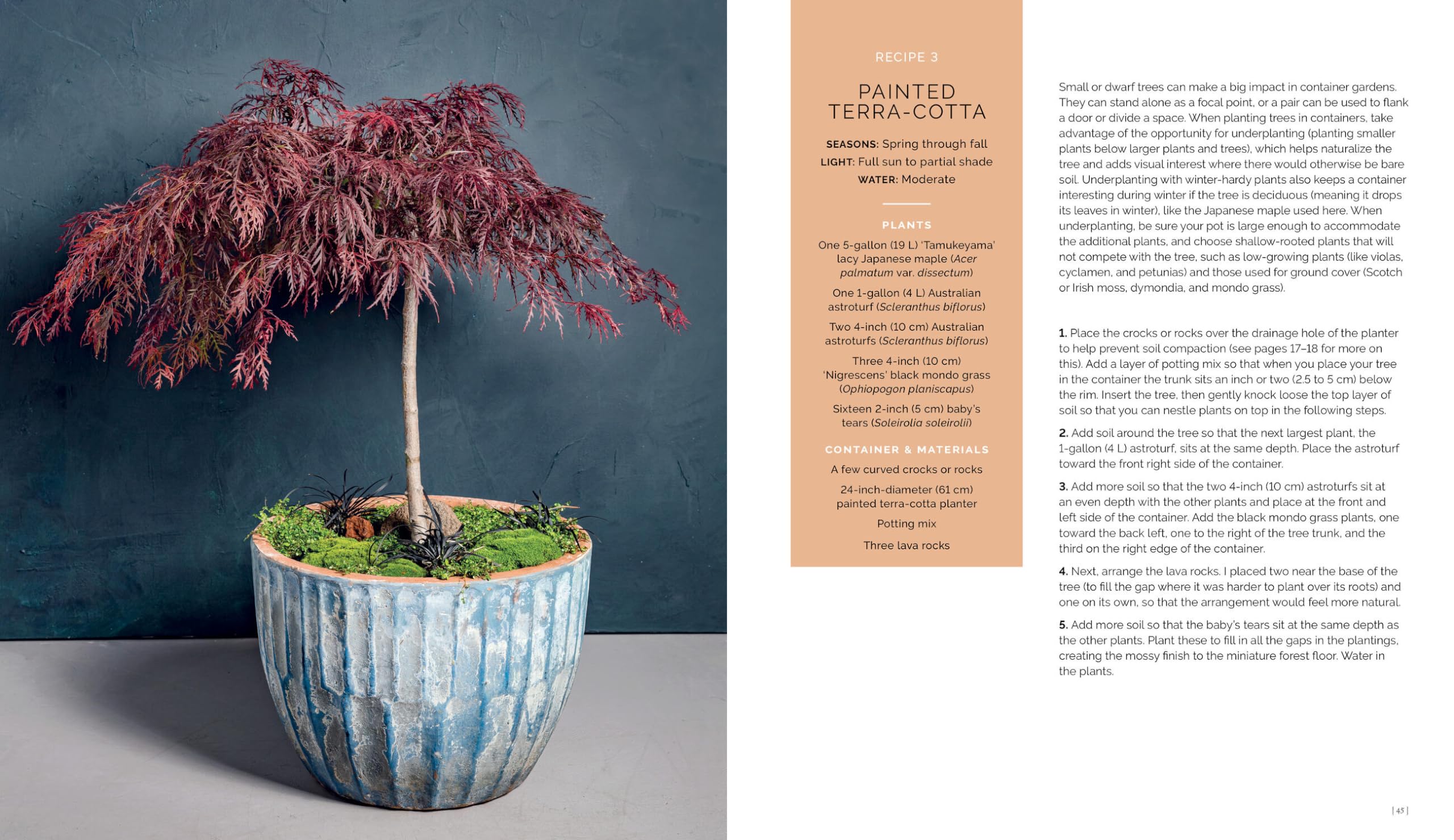 The Container Garden Recipe Book: 57 Designs for Pots, Window Boxes, Hanging Baskets, and More