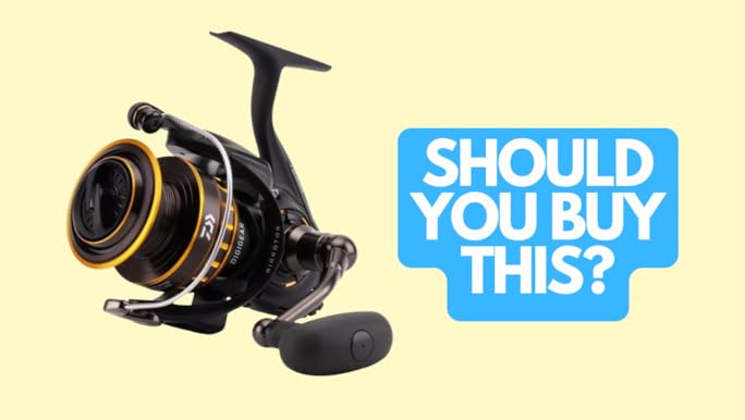 Amazon.com : Daiwa BG Spinning Reel, Black/gold, 3000