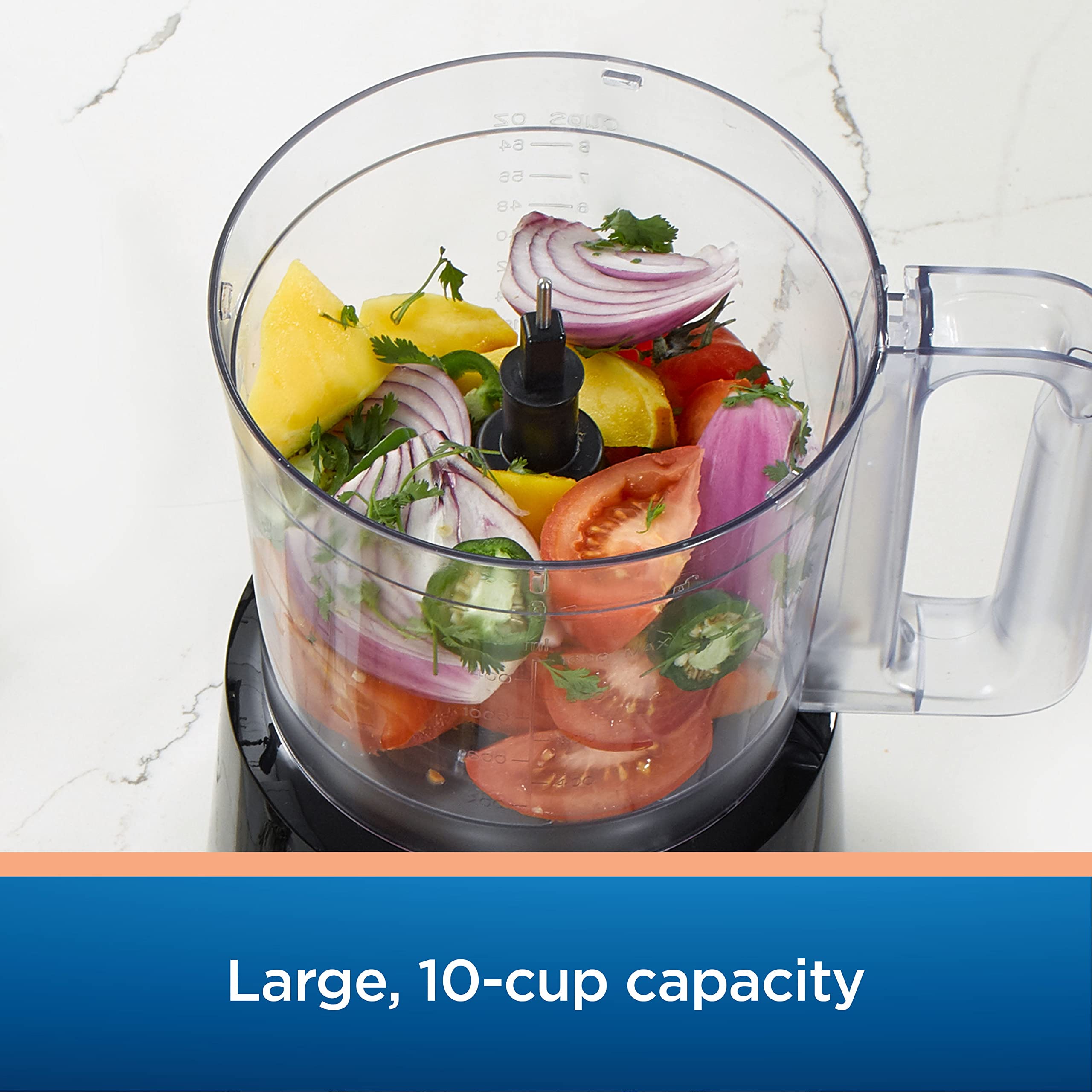 10-Cup Food Processor