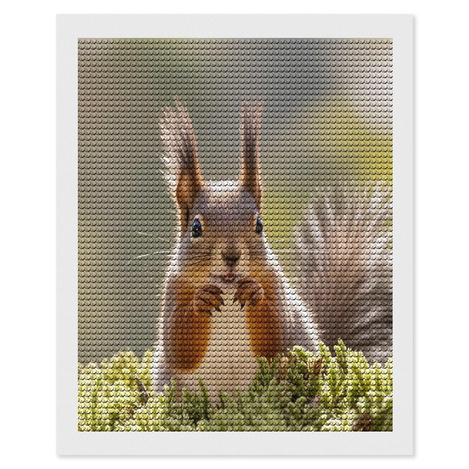 FekiLoot Squirrel Funny Animal Diamond Painting Kits for Adults Full Round Drill Diamond Art Kits for Beginners 5D DIY Diamond Dots Paintings Diamonds Pictures Gem Art Home Wall Decor 16"x20"