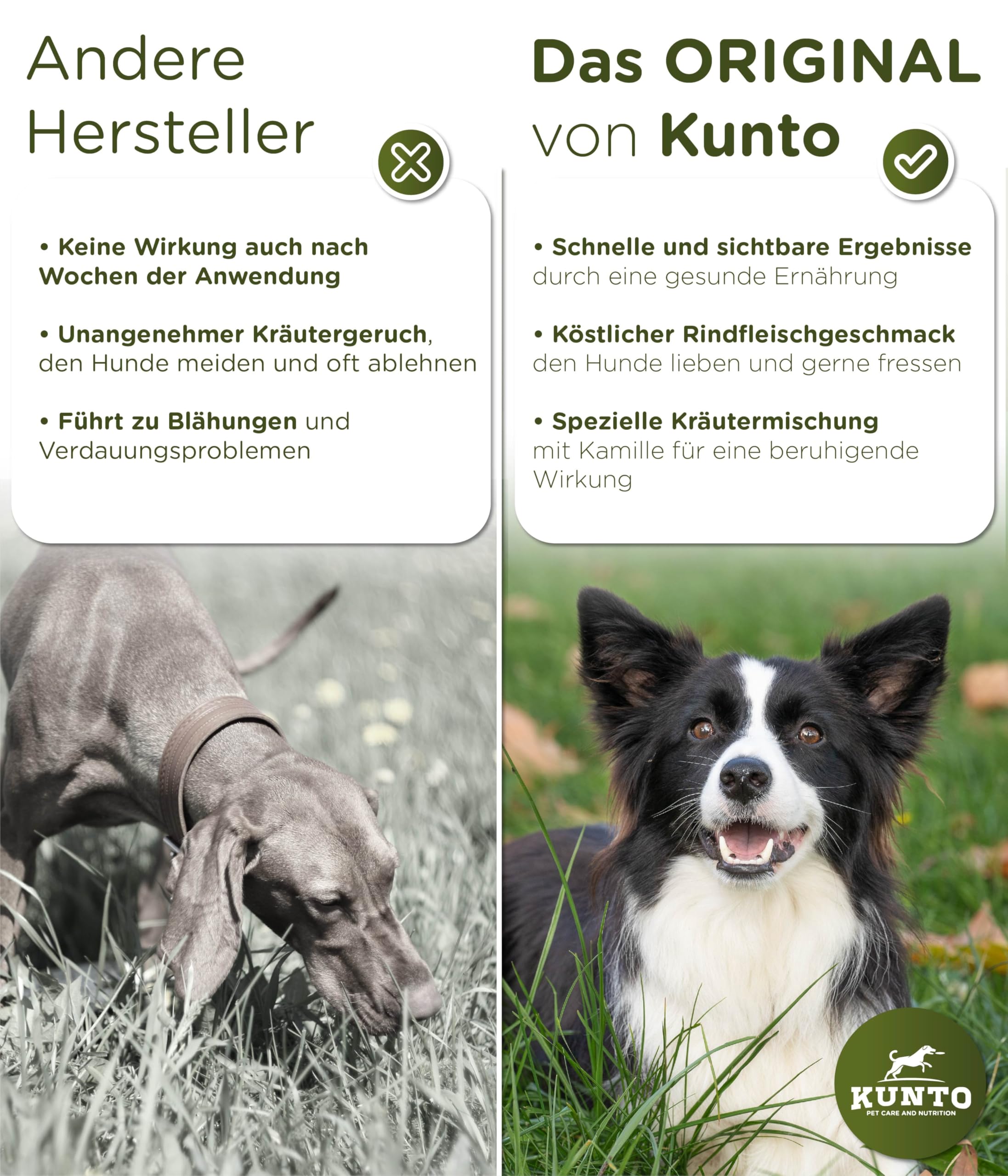 KUNTO® Gras und Kotfresser Drops Hund – Grasfresser und Anti-Kotfressen Hilfe bei Sodbrennen, Übersäuerung und Magenschutz – Natürliche Kräuter, Rindfleischgeschmack – Deutsche Herstellung (350g)