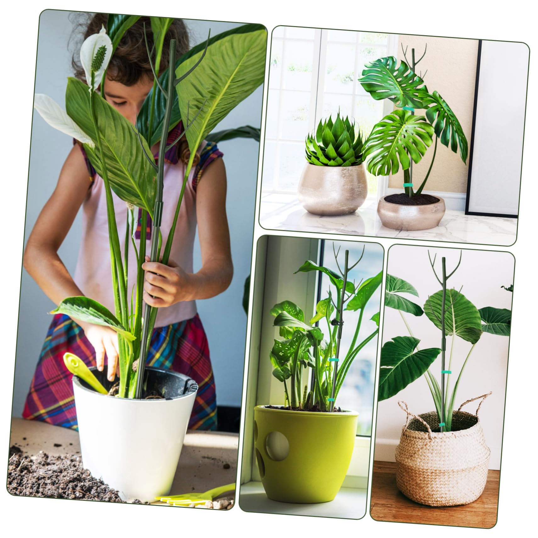 Toyvian Tuteur pour Plante Monstera Support Tige Plante Intérieur Kit Tuteurs Jardin avec Pinces Et Attaches Torsadées