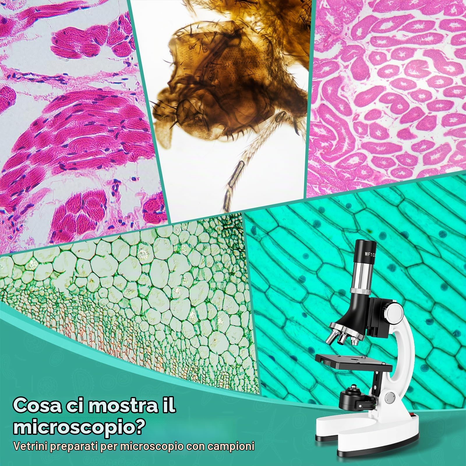 USCAMEL Microscopio Bambini 1200X Professionale: Microscopio Bambini Ottico