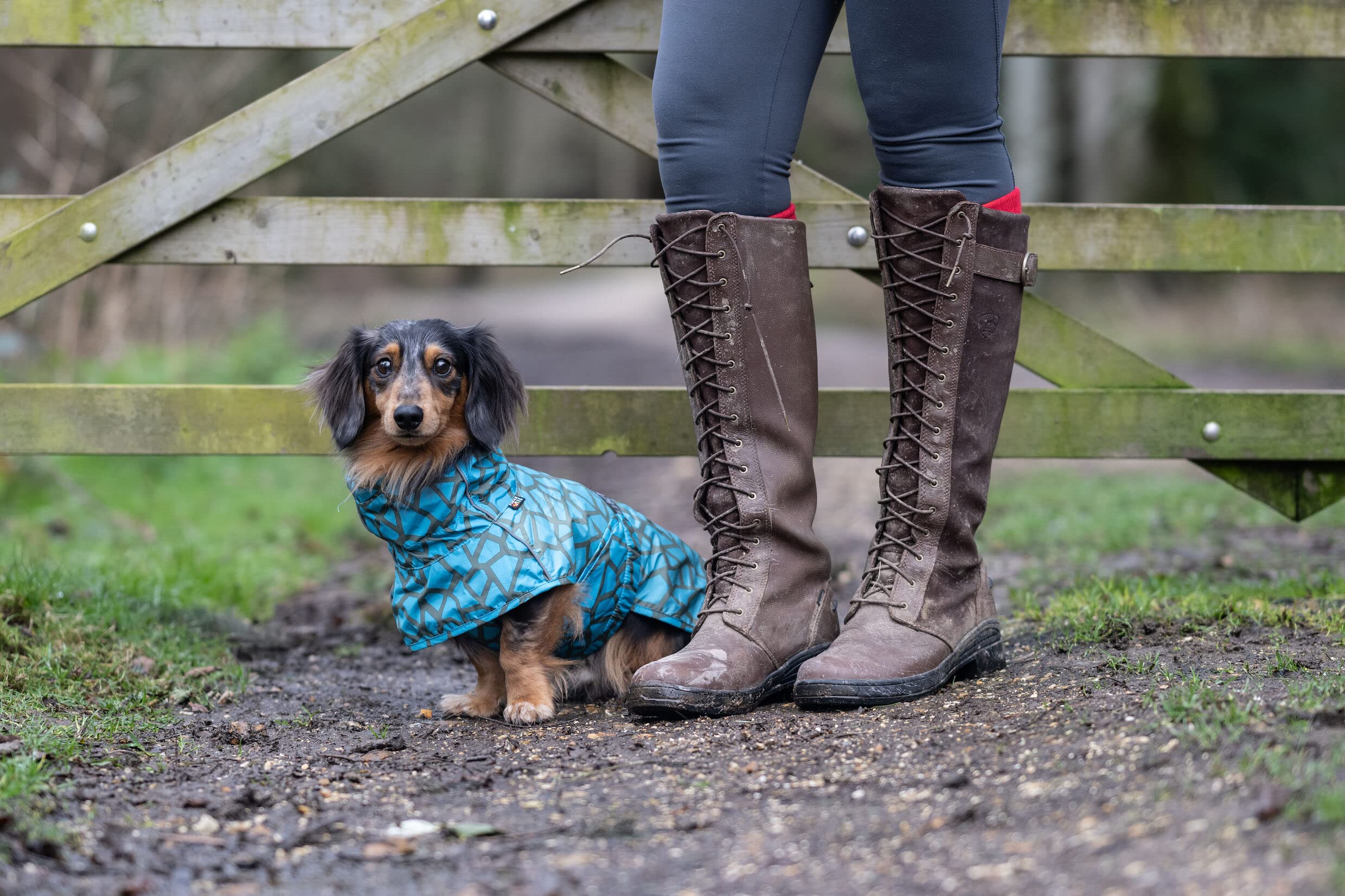 Rukka Pets HAYTON WARM Raincoat Regenmantel für Hunde Aqua 45