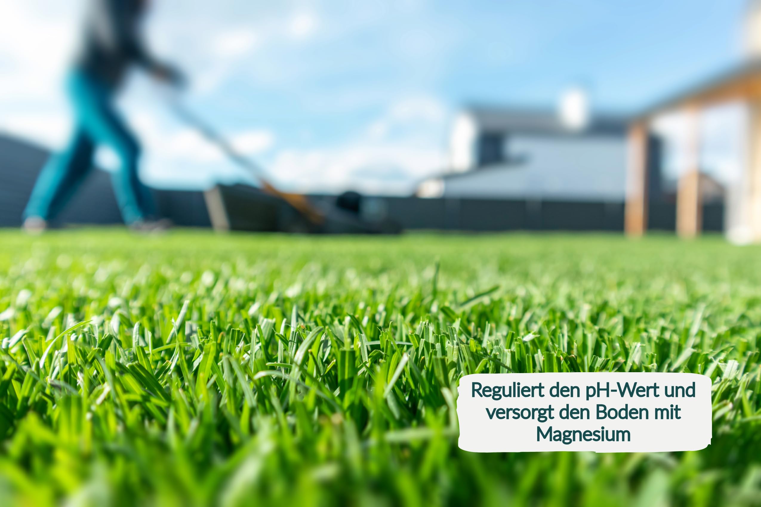 Bio KRÜMEL Rasenaktivator Bodenaktivator Aktivator mit Tonmineralien und Magnesiumkalk (30 kg)
